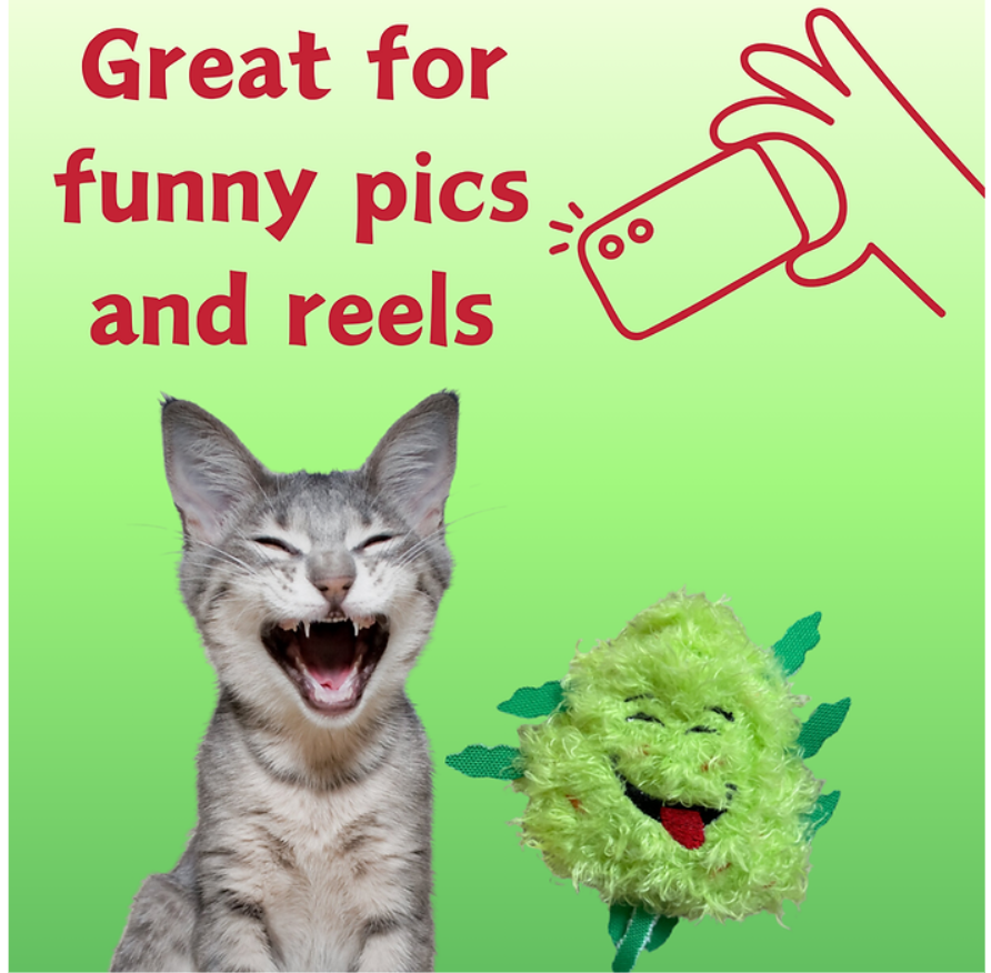 Image for Other PAW:20 Bud Jr. Catnip Cat Toy 3"