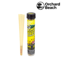 Rolling Cone Raw Orchard Beach Terpene Infused Lemon Tree Box of 12