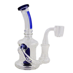 Glass Rig BoroSci 6" Circ Recycler