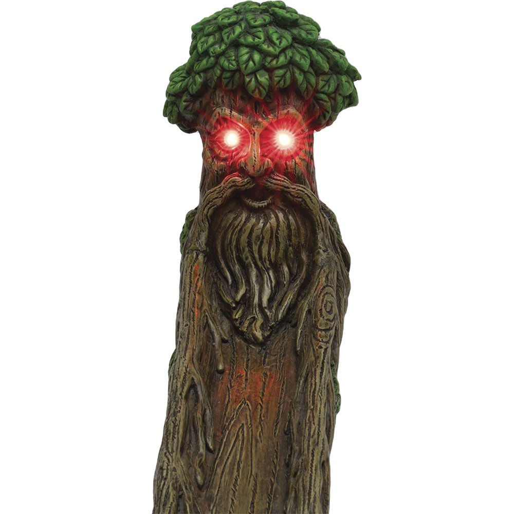 ewt016 - Variant Image
