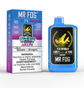 *ON* Disposable Vape Mr Fog NOVA Blue Razz Steezy Grape Box of 5