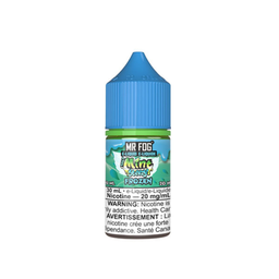 *AB* Nicotine Liquid Mr Fog Mint Steezy Salt 30ml Frozen Mint