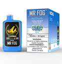*FED* Disposable Vape Mr Fog NOVA Blue Razz Steezy Ice Box of 5